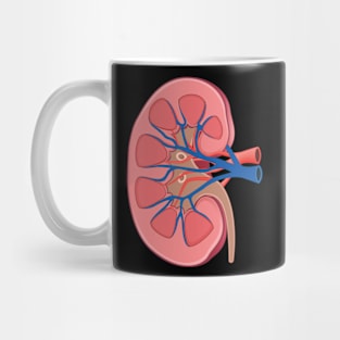 human Kidney anatomy Mug